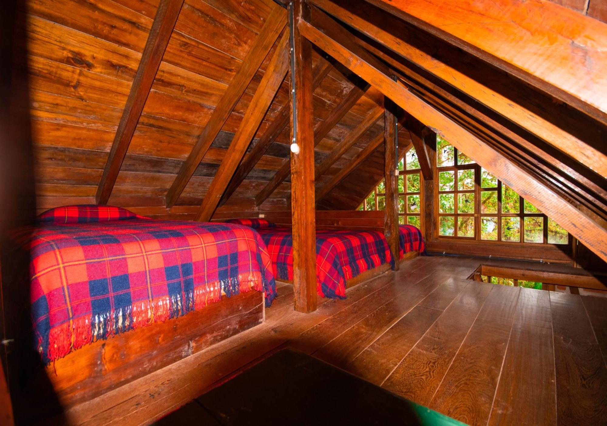 Bellavista Cloud Forest Lodge & Private Protected Area Tandayapa Εξωτερικό φωτογραφία