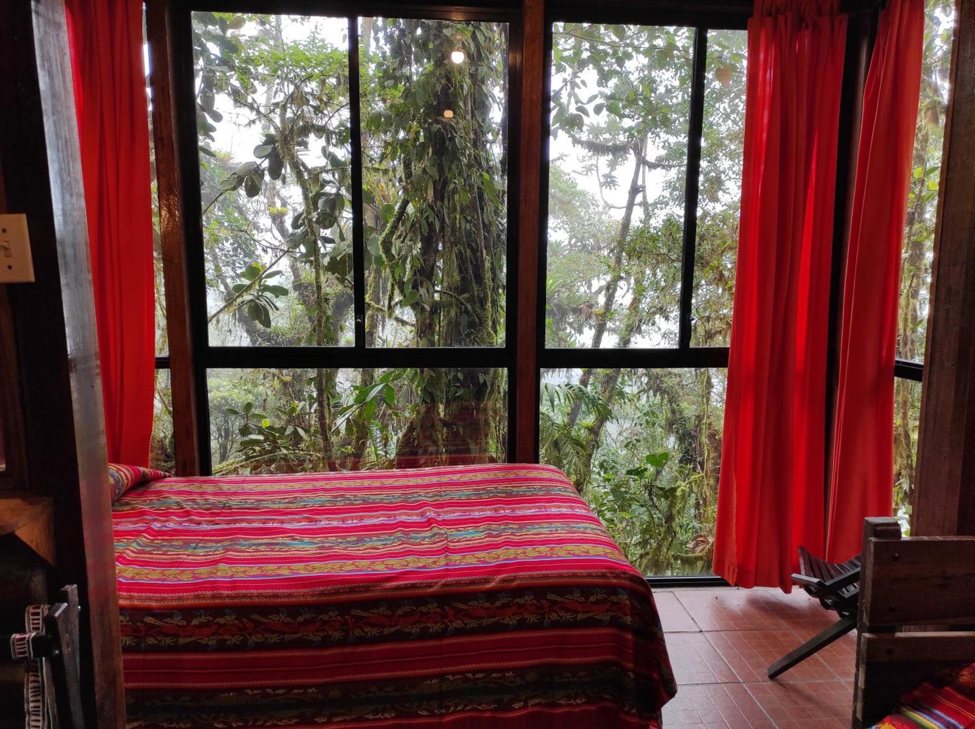 Bellavista Cloud Forest Lodge & Private Protected Area Tandayapa Εξωτερικό φωτογραφία