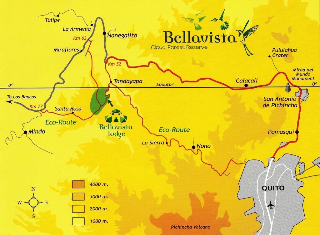 Bellavista Cloud Forest Lodge & Private Protected Area Tandayapa Εξωτερικό φωτογραφία